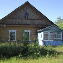 Sinised verandad on vadjalaste juures levinud.