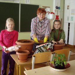 Tomatitaimede ümberistutamine Jõhvi vene gümnaasiumis. FOTOD: http://tomatiprojekt.blogspot.com/