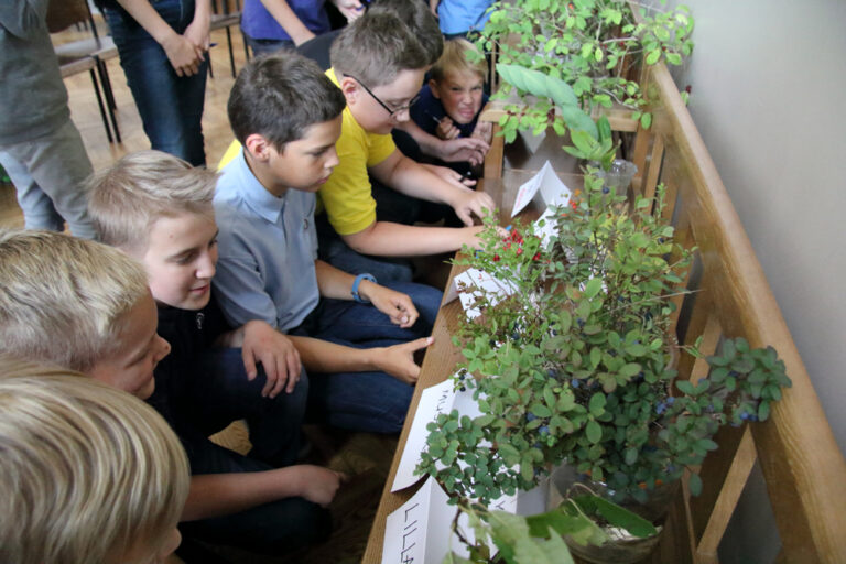Riigi lisatoetus peab parandama huvitegevuse ja huvihariduse kättesaadavust ja mitmekesisust ning aitama kaasata noori, kes seni kõrvale jäänud. Foto: Raivo Juurak