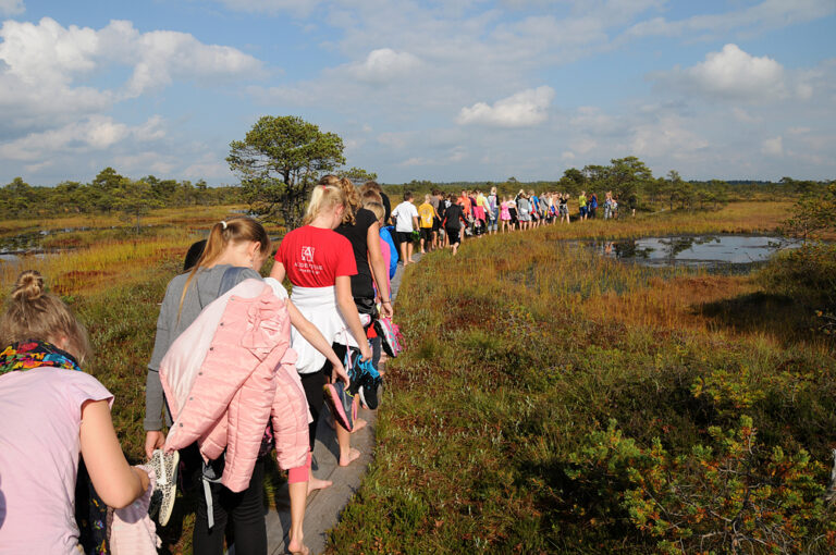 Foto: Martin Suuroja