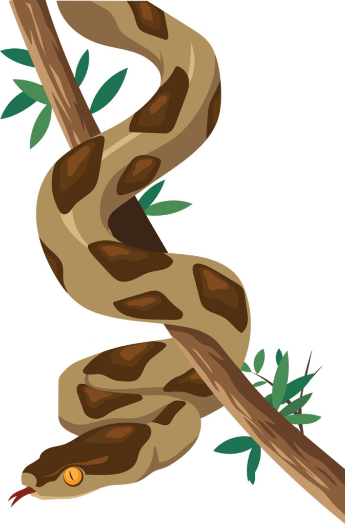 Kaebupunn on  kodu peegel