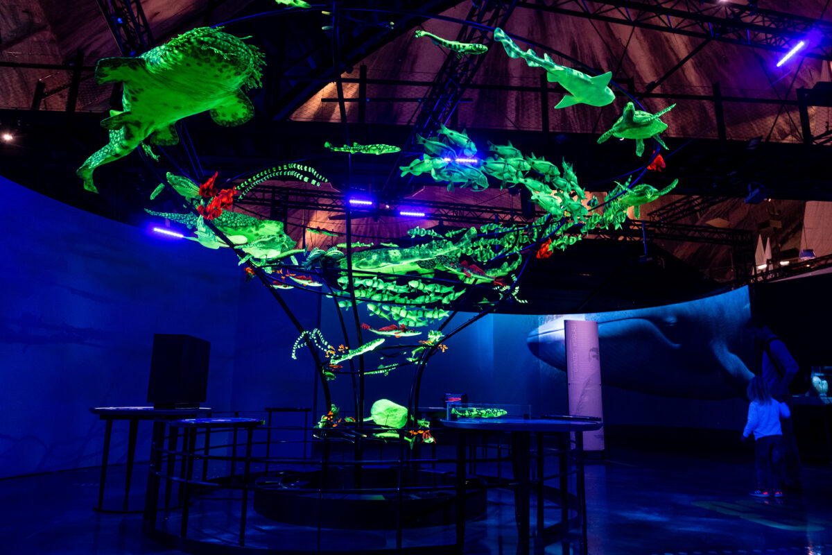 Läänemeri tuli õpetajatele lähemale