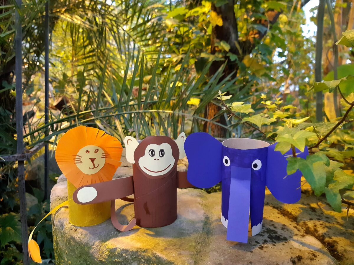 Jõulukuul sooja troopikasse 1.–4. klassi õpilastega