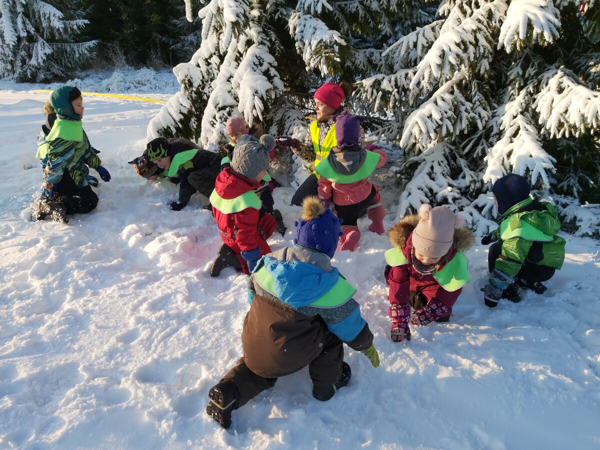 Loodusliikumine pakub teadmisi ja elamusi