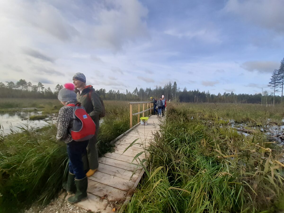 Kuidas saada Eesti loodusega lähedaseks märgalade kaudu