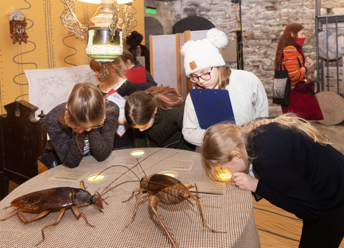 Loomade ja inimeste ühine ajalugu