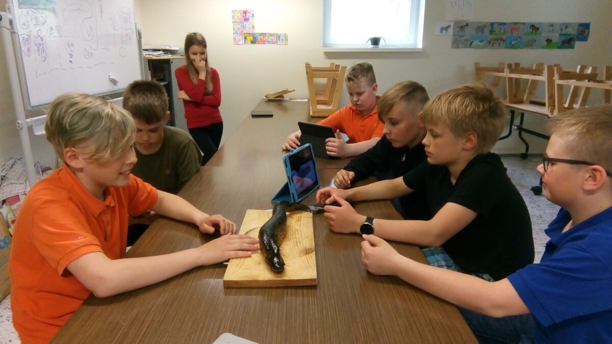 Kokandustundi oma saagiga