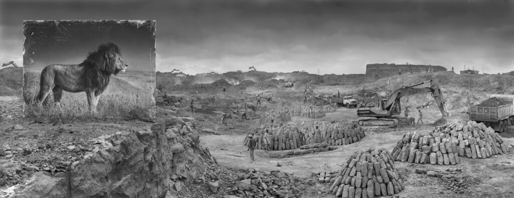 Nick Brandt Fotografiskas!