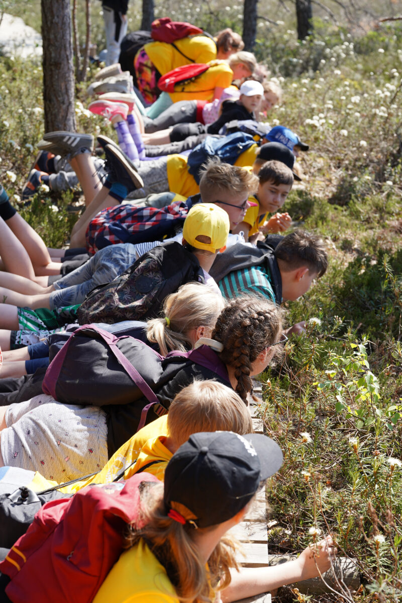 Loodushariduskeskuste õppeprogrammid – võimalus mitmekesistada koolitööd