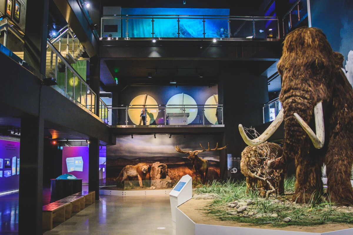 Jääaja Keskus aitab koolitunni põnevamaks muuta