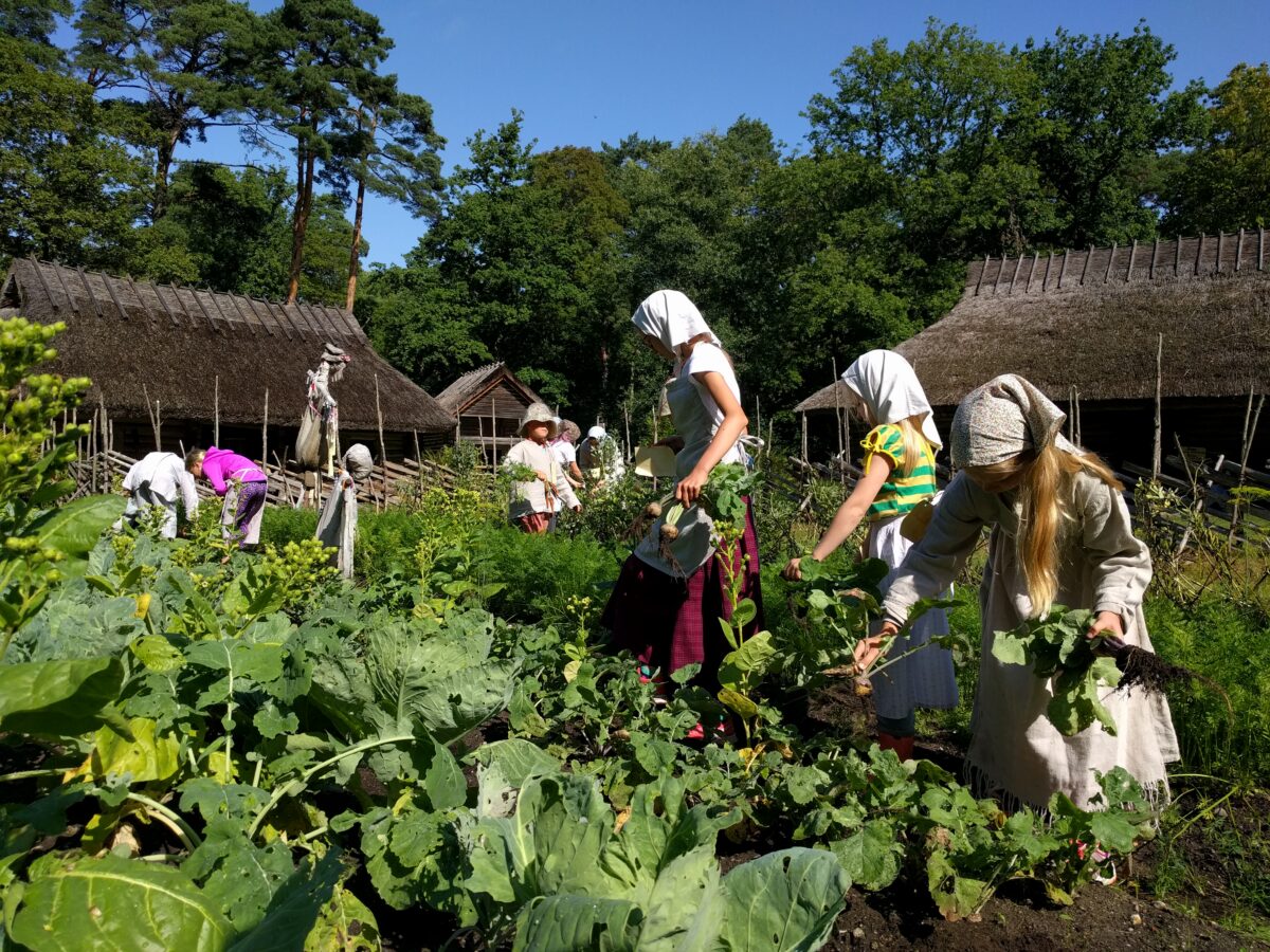Ilus ja hariv punkt õppeaastale Eesti Vabaõhumuuseumis