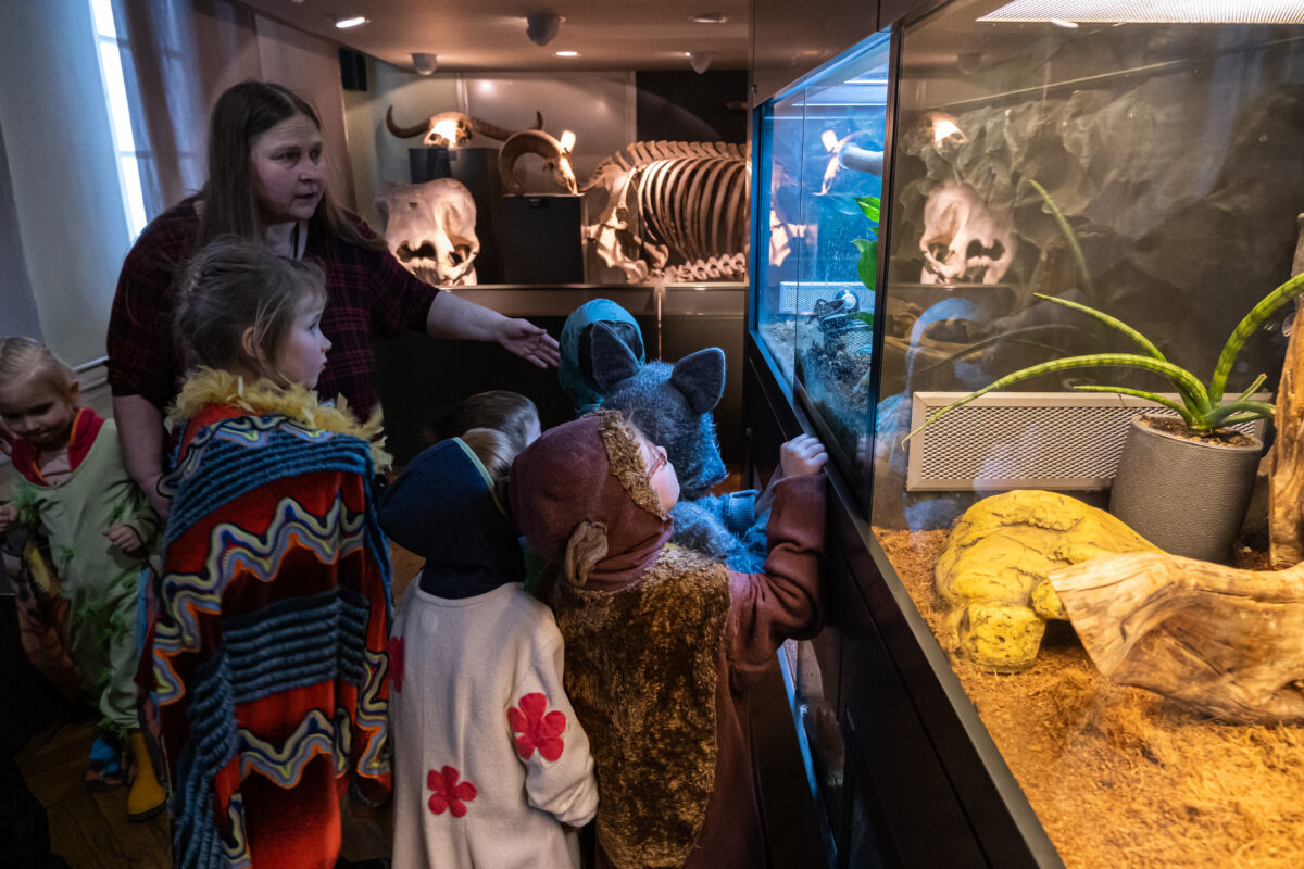 Õpilastega Tartusse: loodusmuuseumi ja botaanikaaia põnevad õppeprogrammid