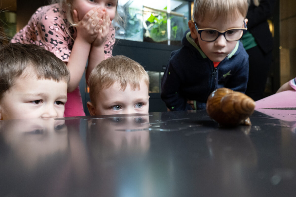 Avastame loodust: Tartu Ülikooli loodusmuuseumi ja botaanikaaia põnevad õppeprogrammid