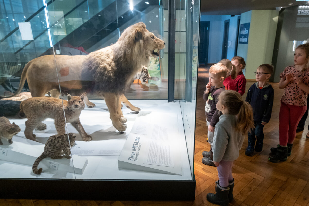 TÜ loodusmuuseumi ja botaanikaaia harivad õppeprogrammid