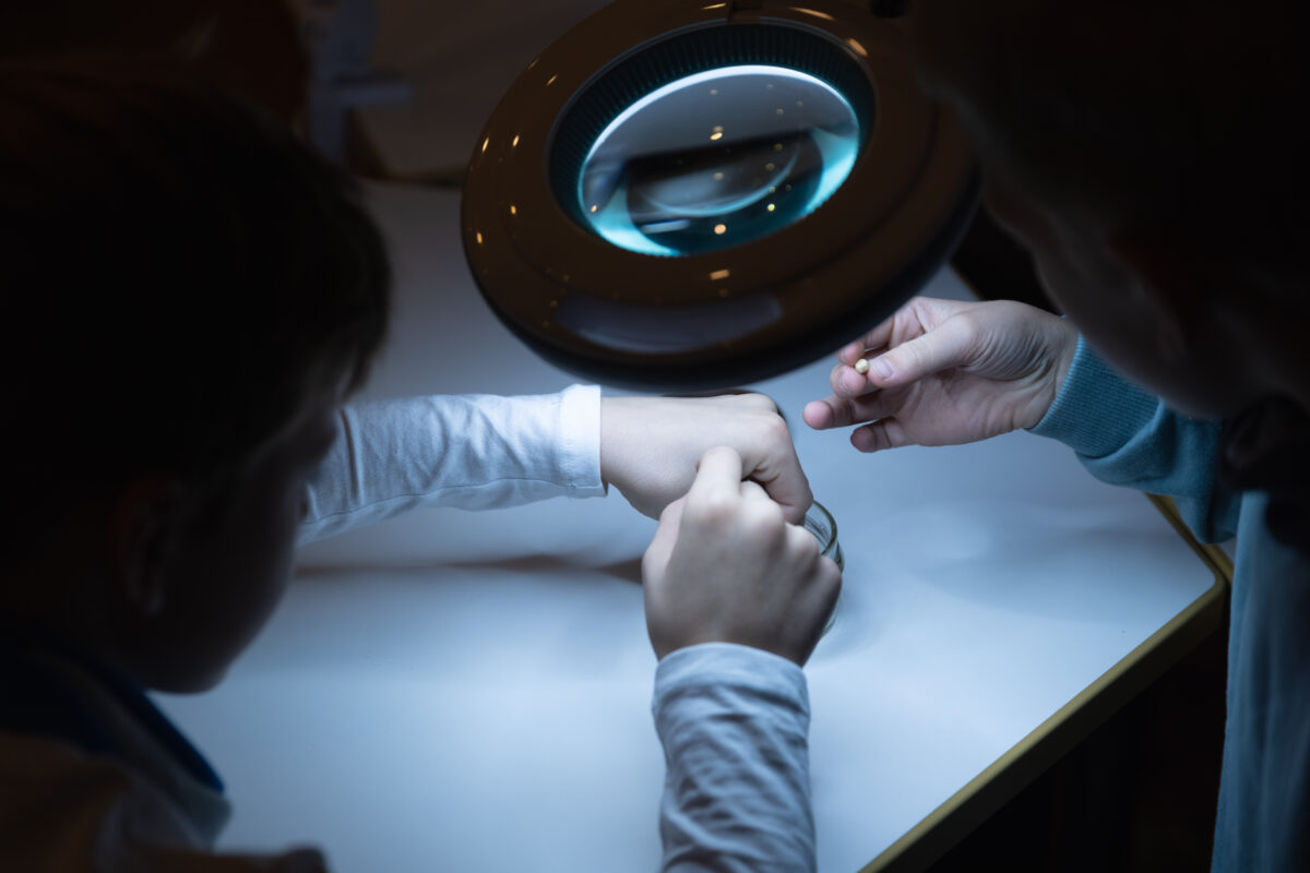 Maaelumuuseumid üllatavad uute muuseumitundidega