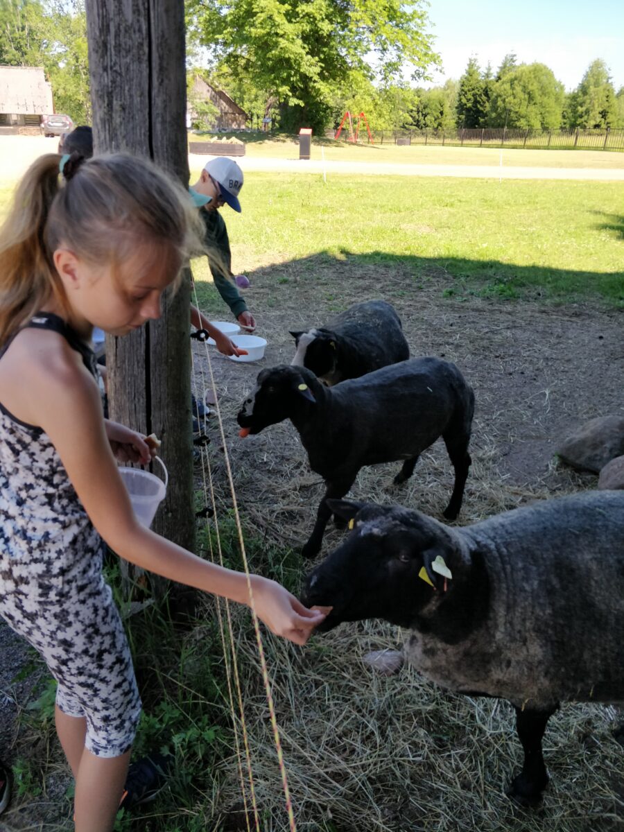 Mulgi Elamuskeskus pakub kogemusõpet tegutsemise kaudu