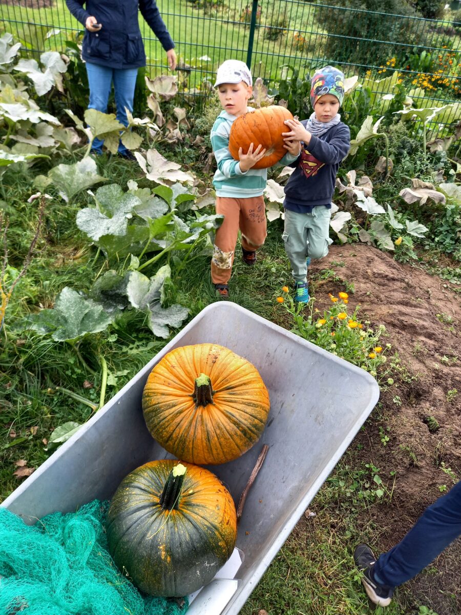 Puhja lasteaias on maatööd ikka au sees hoitud