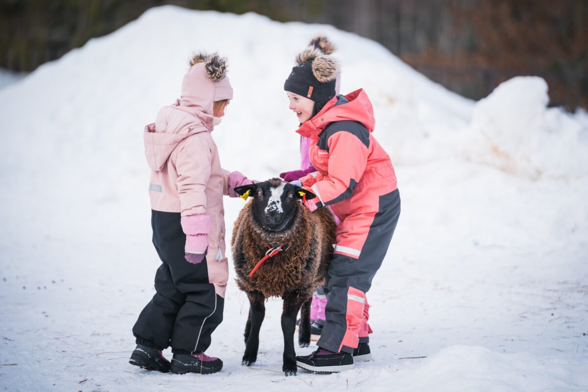 Mütas Mati jõulud Mulgi Elamuskeskuses