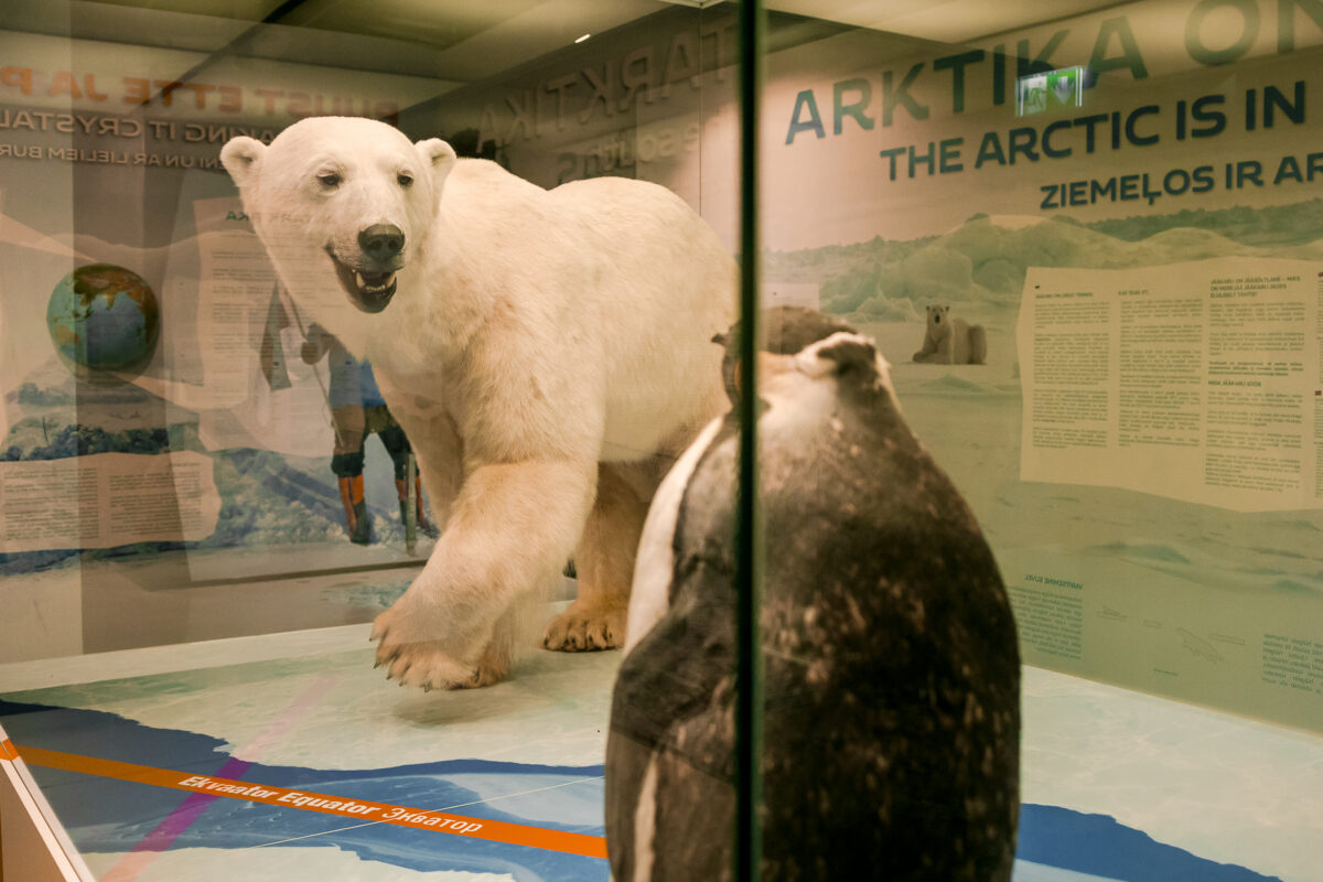 Jääaja Keskus – kliimamuutuste mõistmine praktilise õppe kaudu