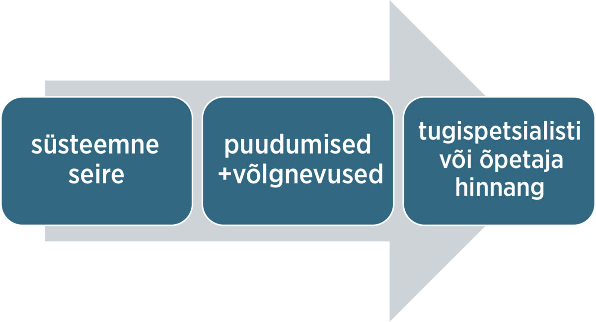 Kes seirab ja sekkub? Alternatiivi hoolimisele pole