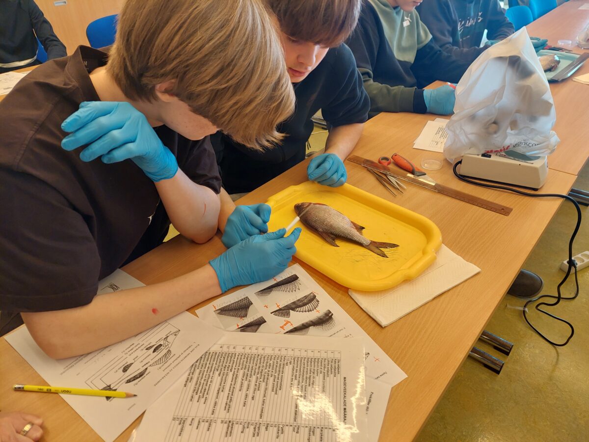 Tule tutvuma veemaailmaga Võrtsjärve õppekeskuses ehk Järvemuuseumis Akva:rium!