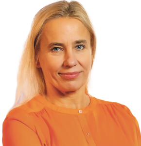 Kas asendame korstna&nbsp;p&auml;ikesepaneeliga?