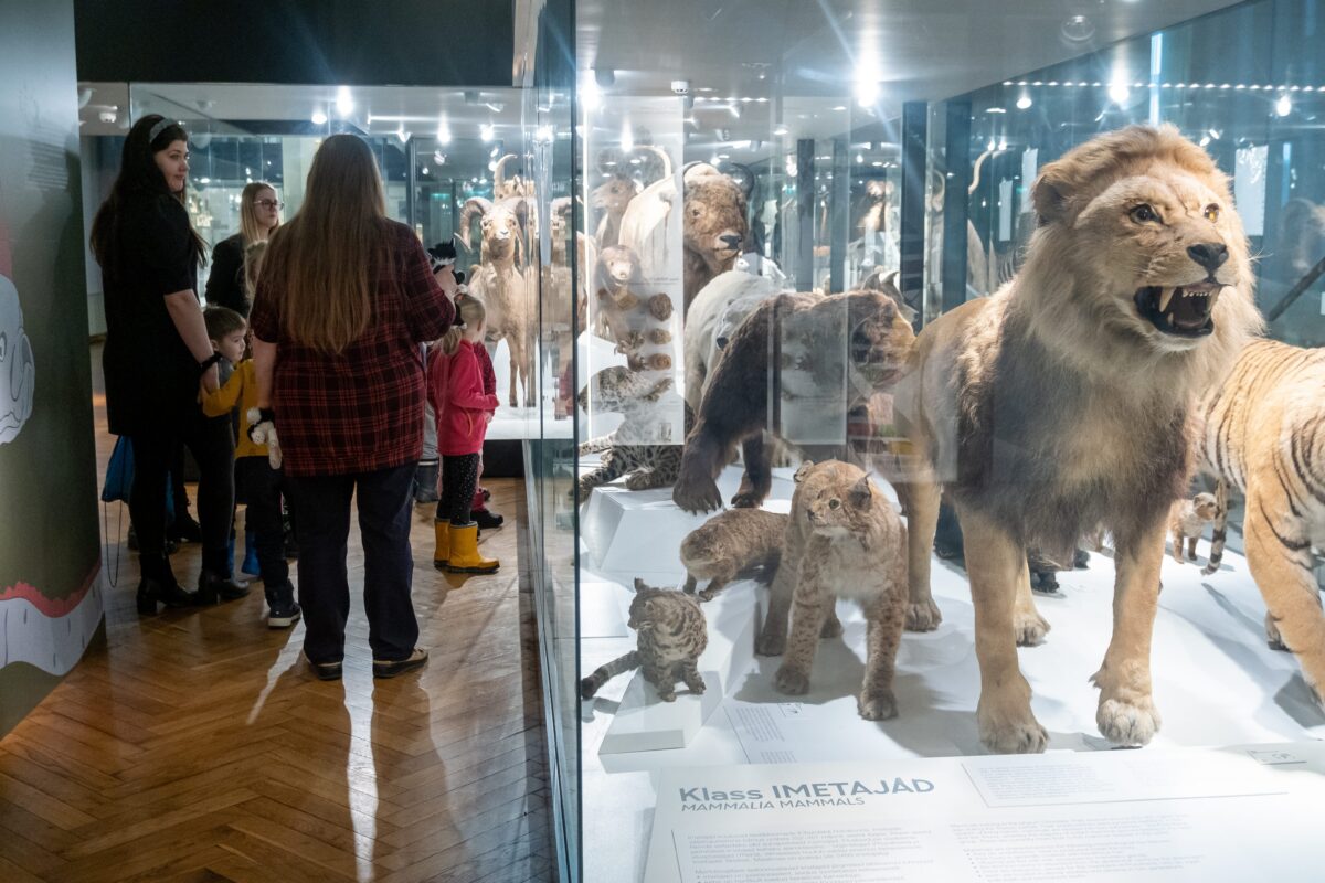 Uurides, kogedes ja avastades – loodusharidus käega katsutavaks