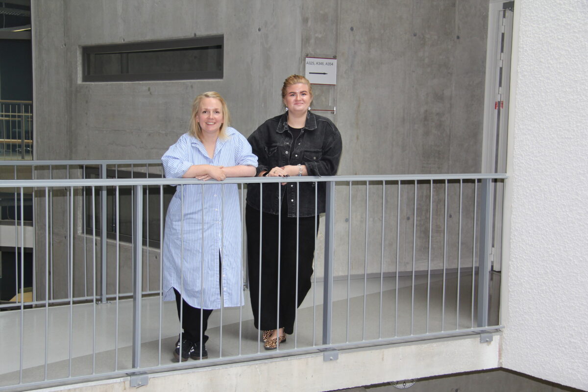 IT-hoog aitab koolidel informaatikaõpet senisest süsteemsemalt arendada