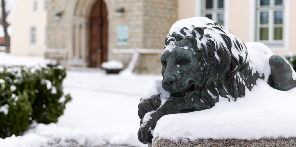 Eesti Ajaloomuuseum kutsub jõuluteemalistesse muuseumitundidesse!