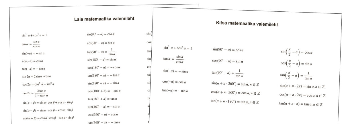 Valemilehe kasutamine muudab olulisemaks ülesannete mõistmise