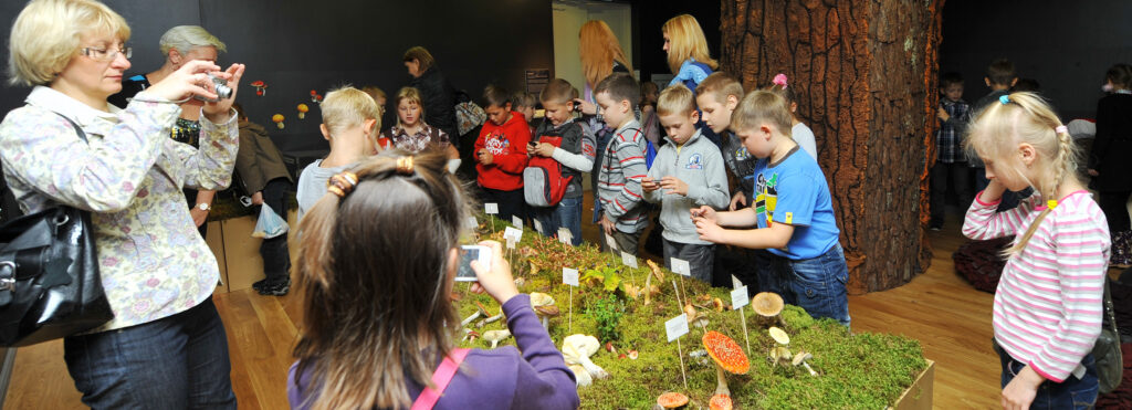 Kool küsib raha – mis peaks olema tasuta ja kust algab vabatahtlik panus?