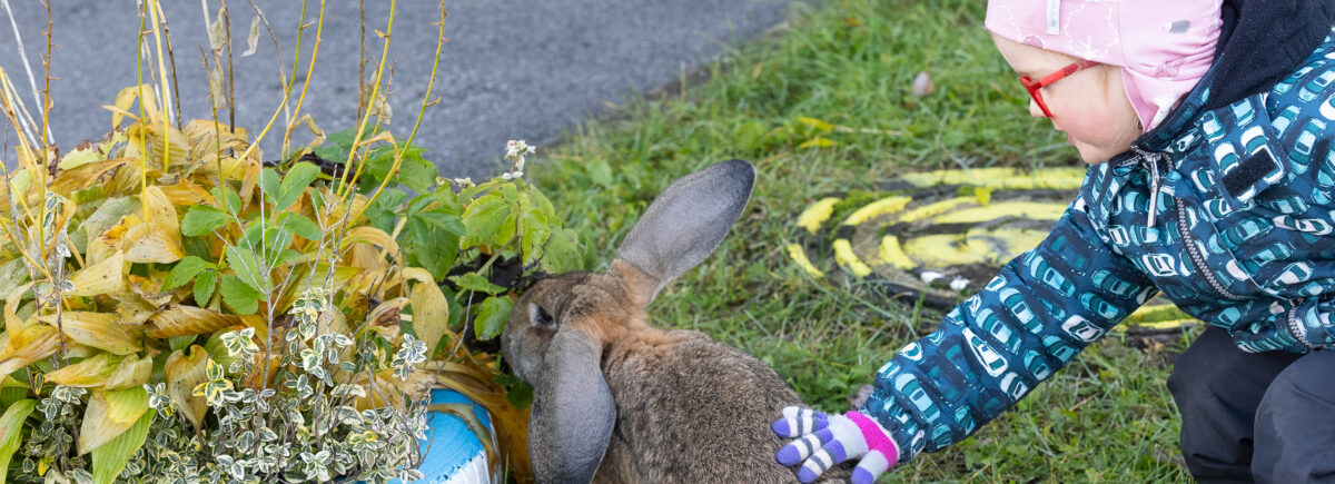 Õrnuse õppetund: nüüdsest lasteaeda lubatavad loomad õpetavad mudilastele, mis materjalist nad tehtud on