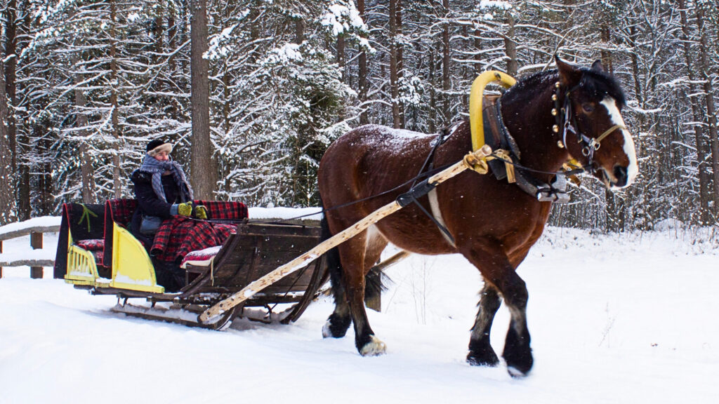 Kevadtalvised haridusprogrammid Eesti vabaõhumuuseumis