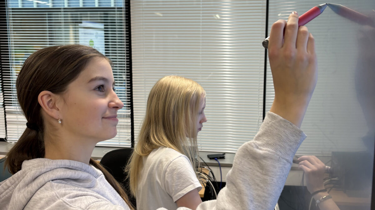 Loovus matemaatikas&nbsp;&ndash; andekate luksus v&otilde;i eluline vajadus?