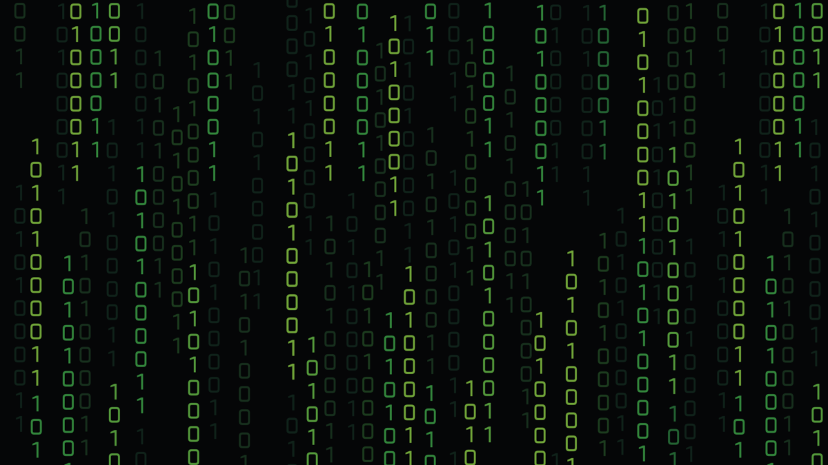 &Otilde;hinap&otilde;hised d&uuml;nastiad: noorte informaatikute kasvulavaks kujunevad koolide asemel pered